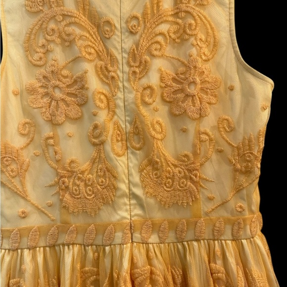 Sundance Sheer Embroidered Floral Dress Lined Buttercup Pale Yellow Sz 2 - Picture 6 of 9